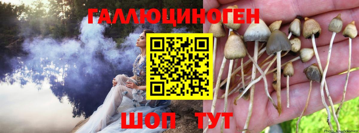 Соликамск  Псилоцибиновые грибы ЛСД  Вход с VPN 