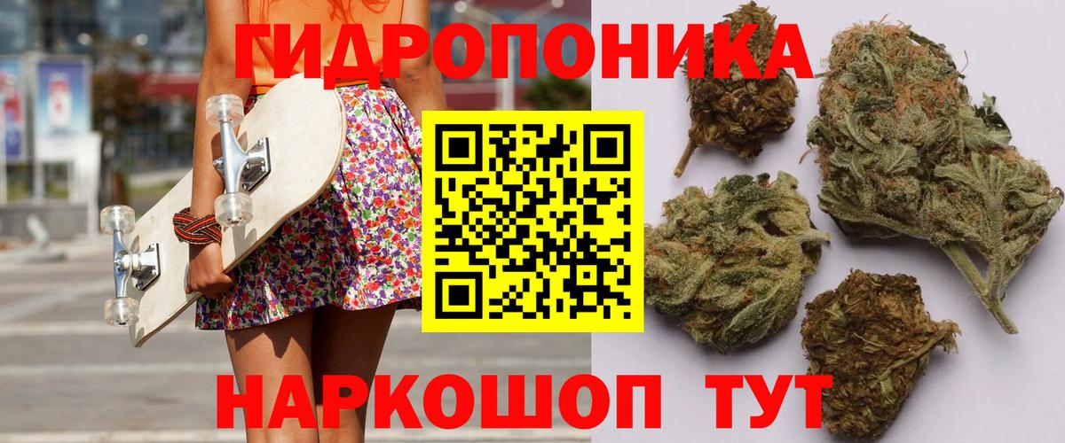 Конопля план  МАРИХУАНА тримм  Вход с VPN  Бошки Шишки OG Kush  Соликамск 